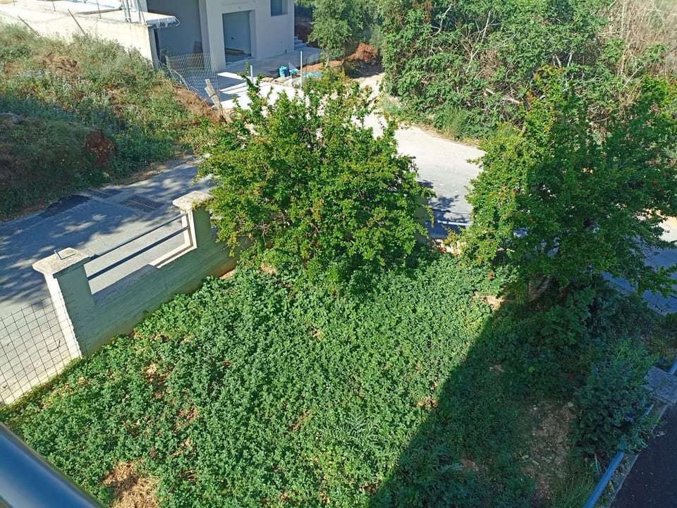 Inner courtyard view