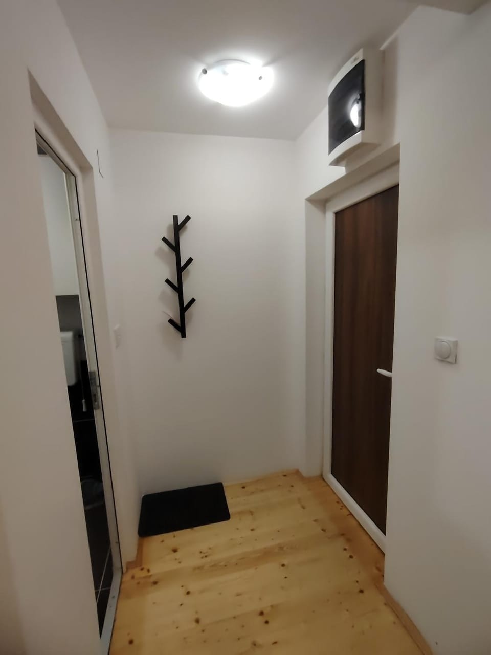 Studio Apartman Lenka Apartment in Serbia