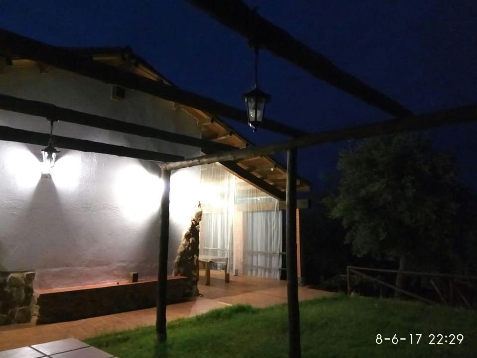 Staff, Off site, Night, Activities, Summer, Pets