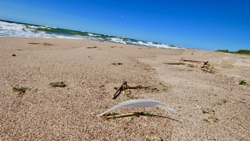 Natural landscape, Beach