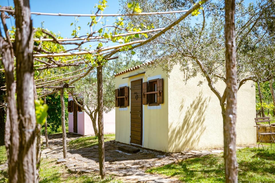 Property building, Day