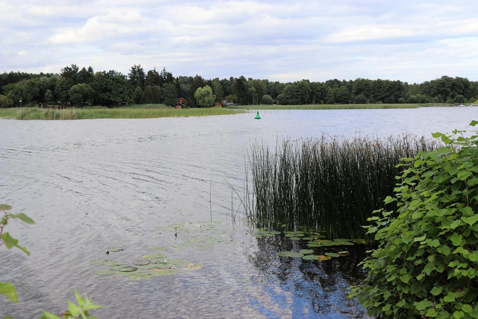 Natural landscape