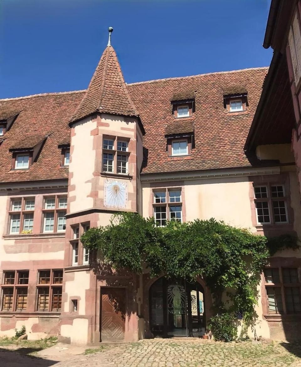 Domaine La Cour Des Nobles - Demeure, Maison et Appartements au coeur de Riquewihr Apartment in Grand Est