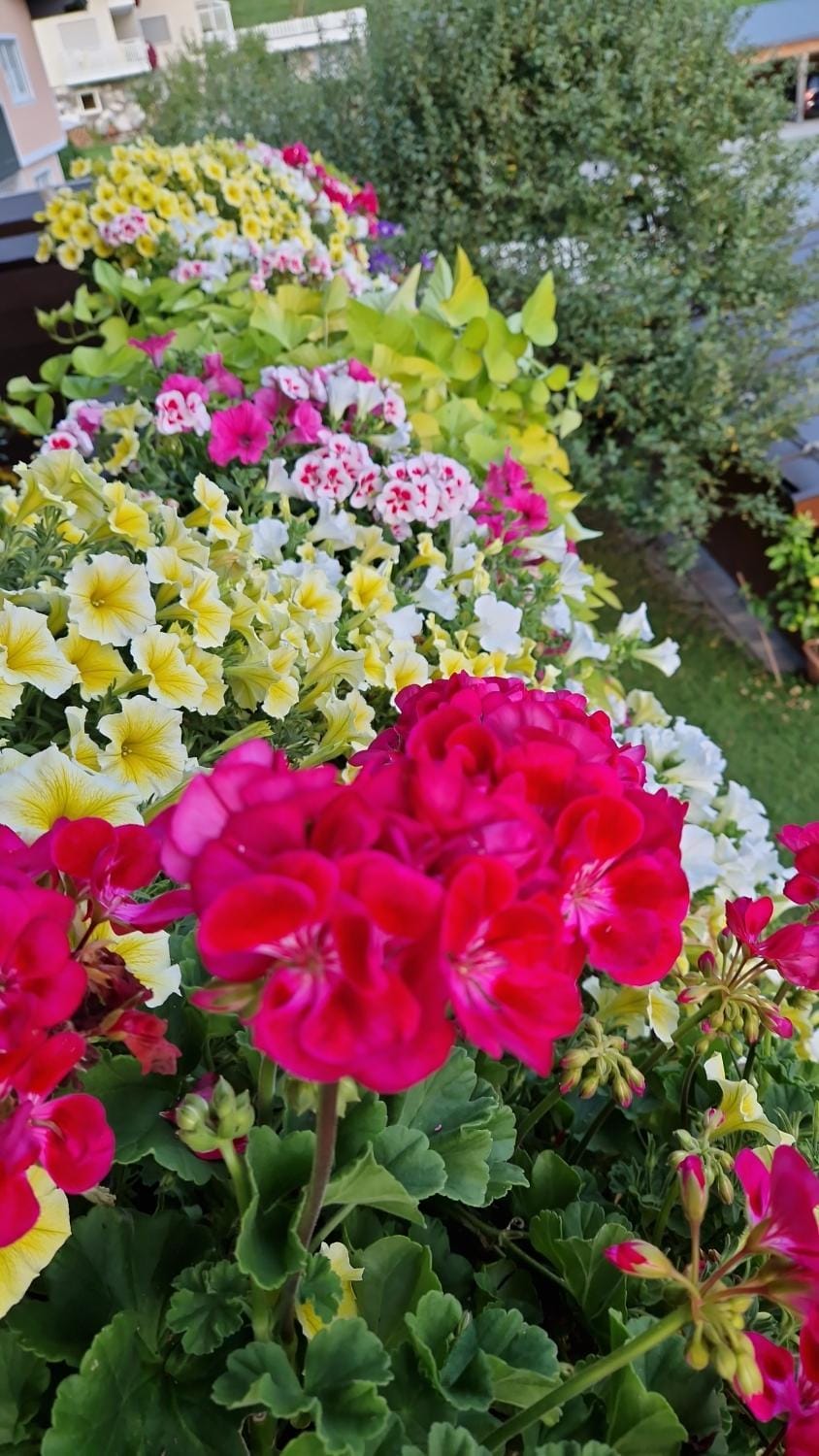 Haus Bergblick Apartment in Walchsee