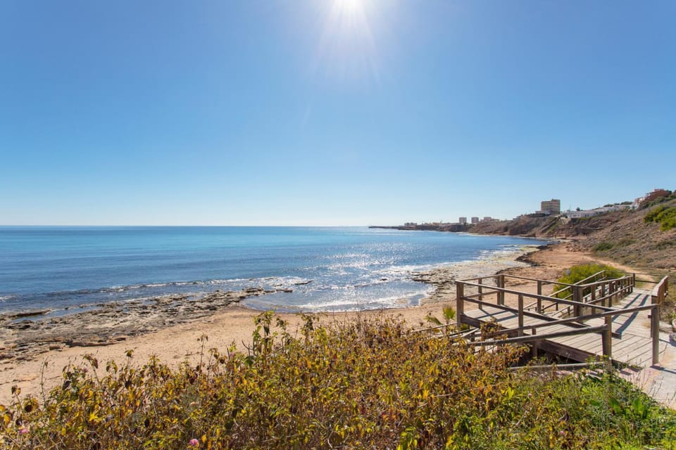 Nearby landmark, Natural landscape, Beach, Pets