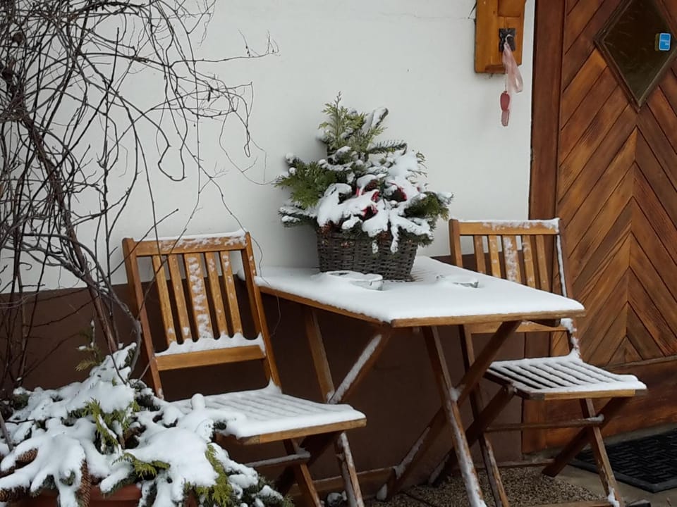 Patio, Winter