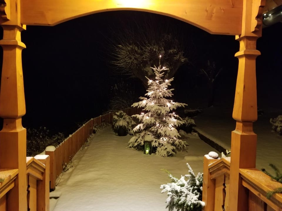 Patio, Winter, Garden view
