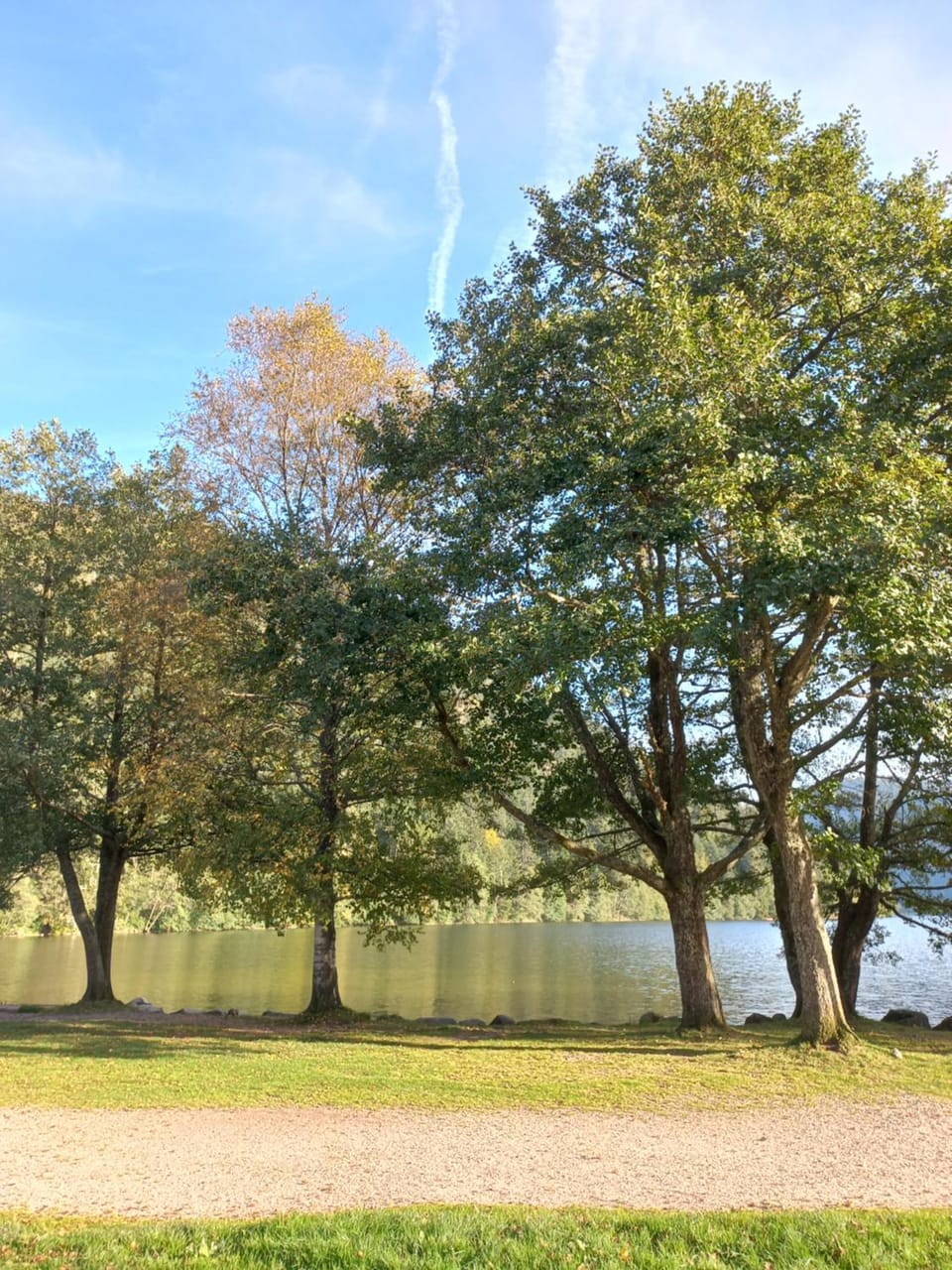 Studio les bleuets Apartment in Gérardmer
