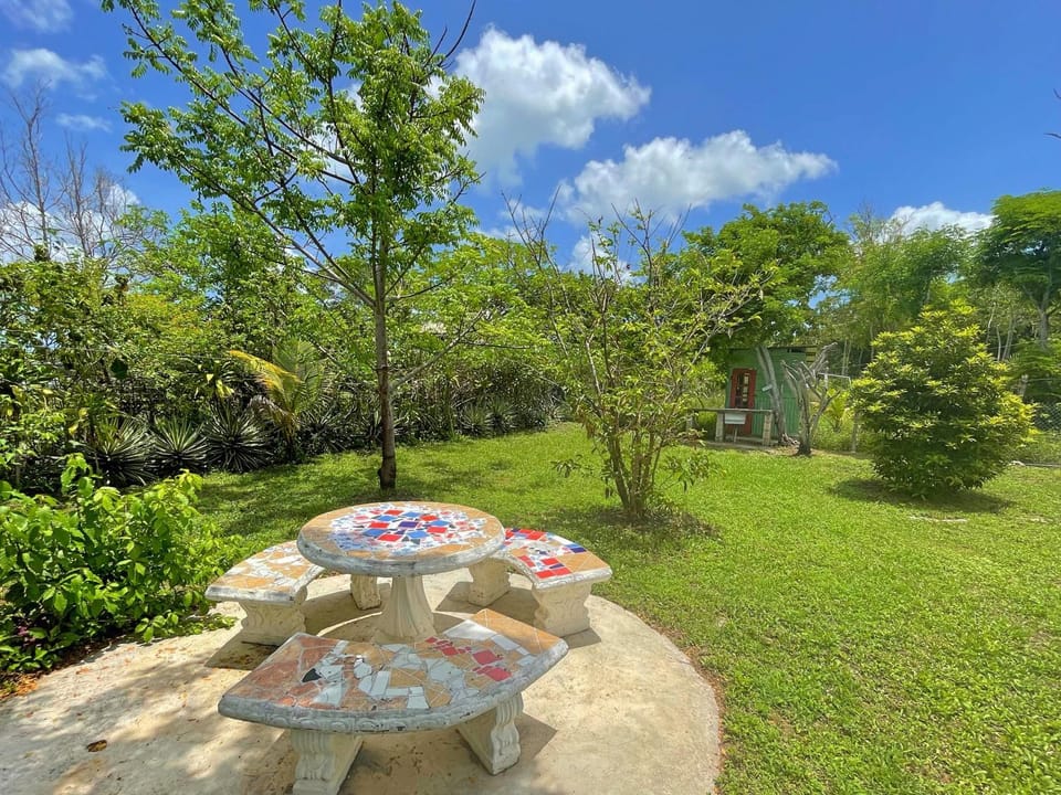 Patio, Garden