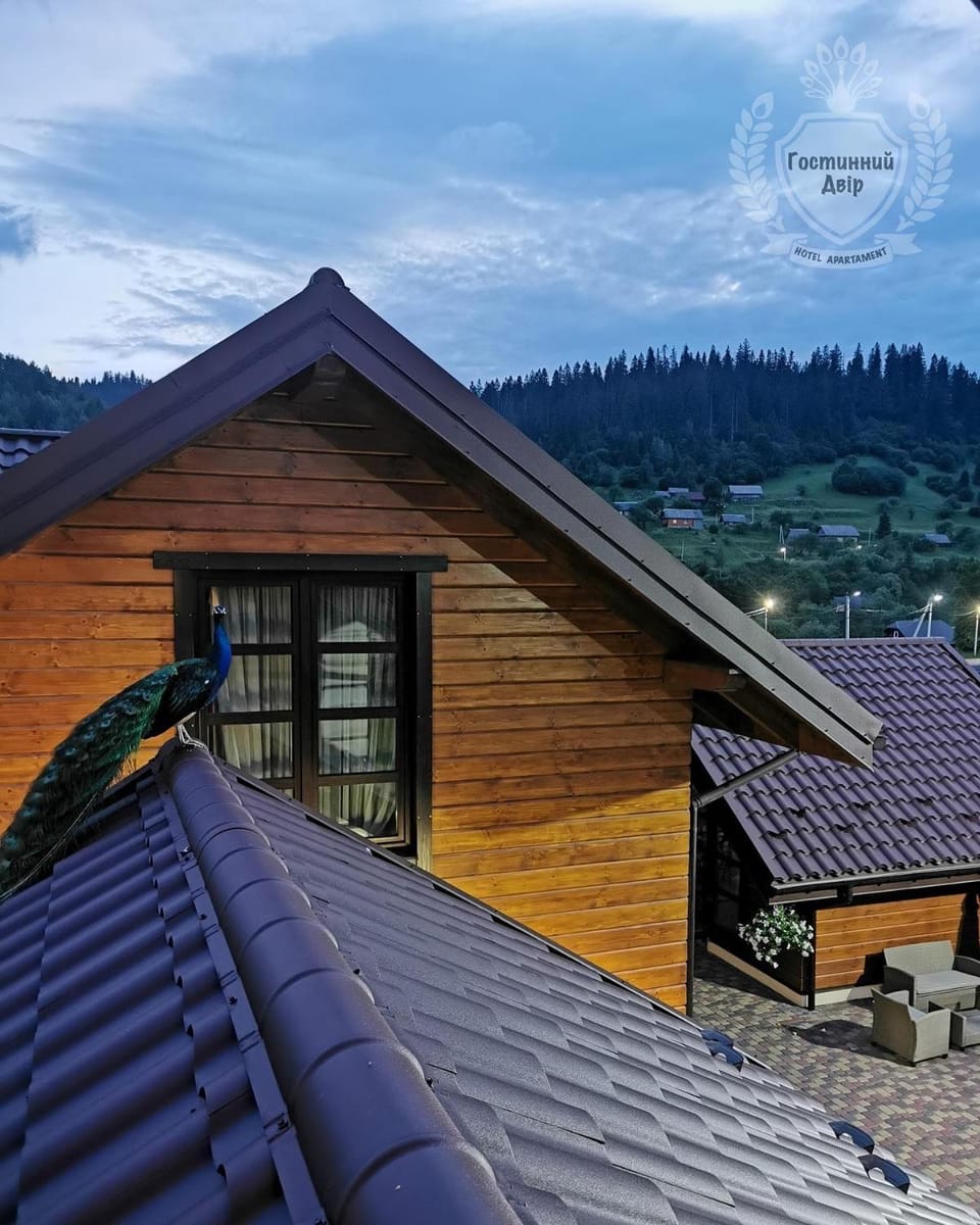 Mountain view