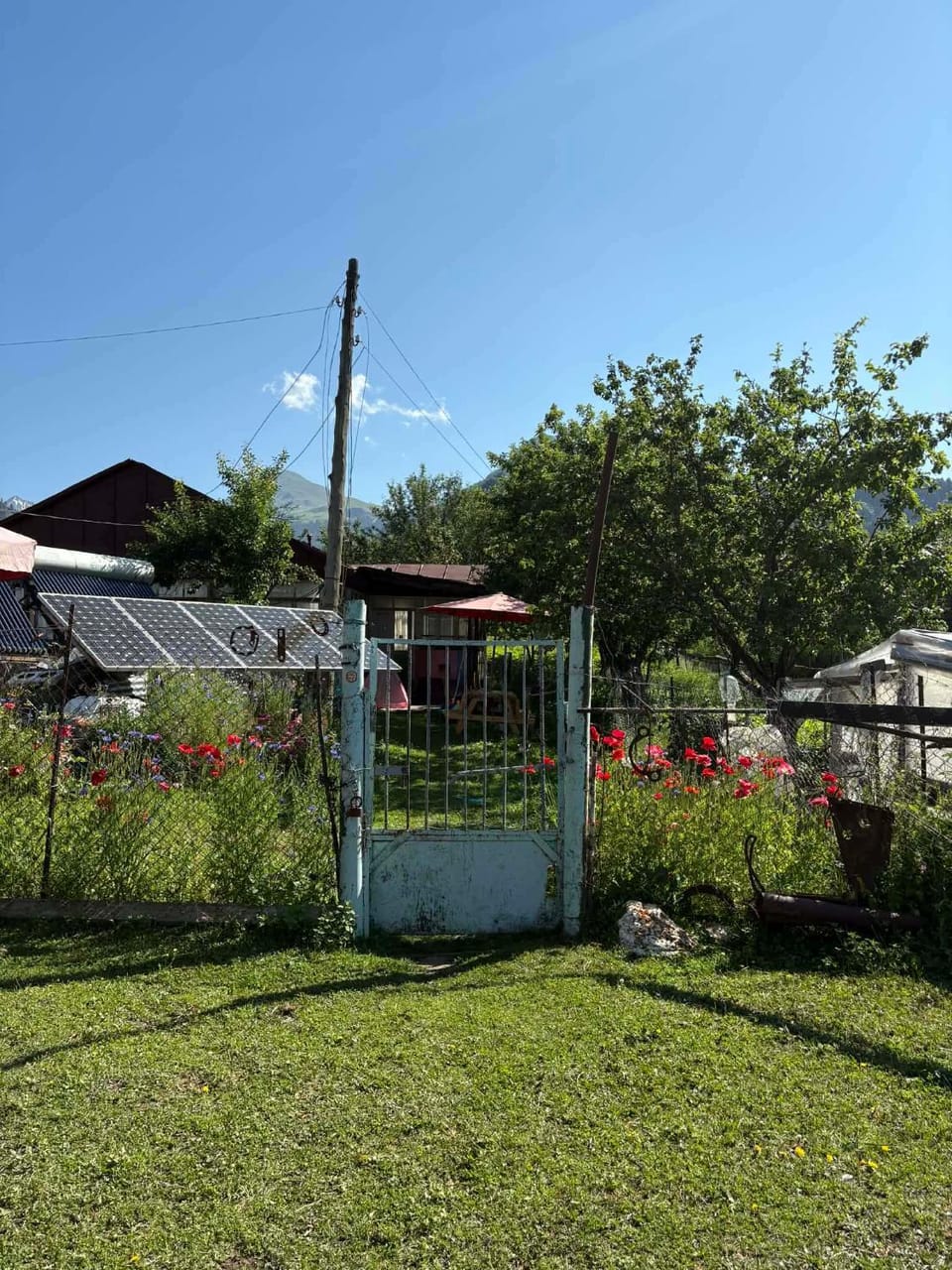Guest House Nazo Bed and Breakfast in Georgia