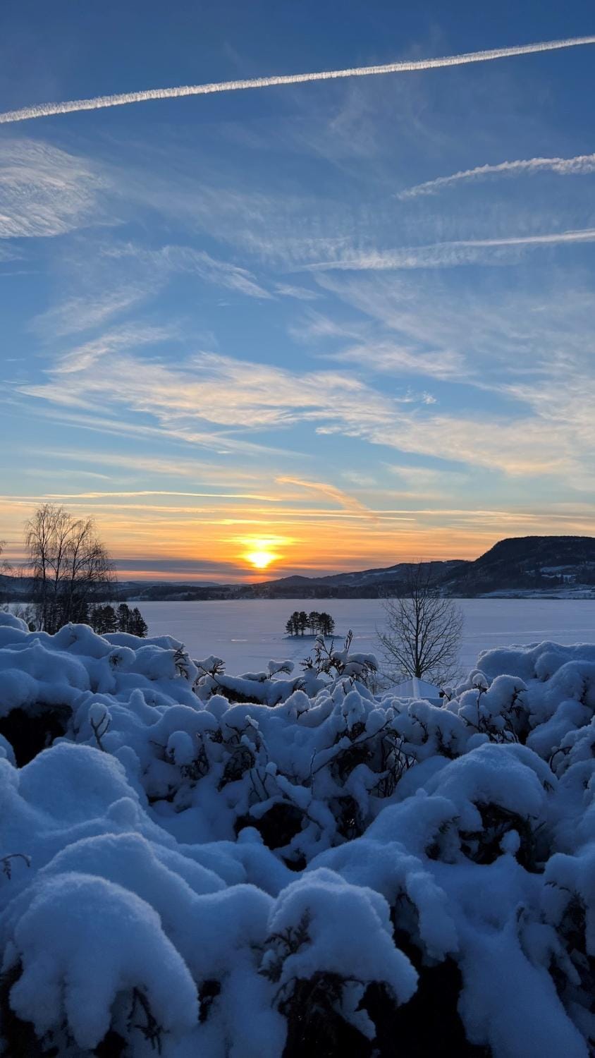 Winter