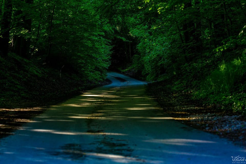Natural landscape