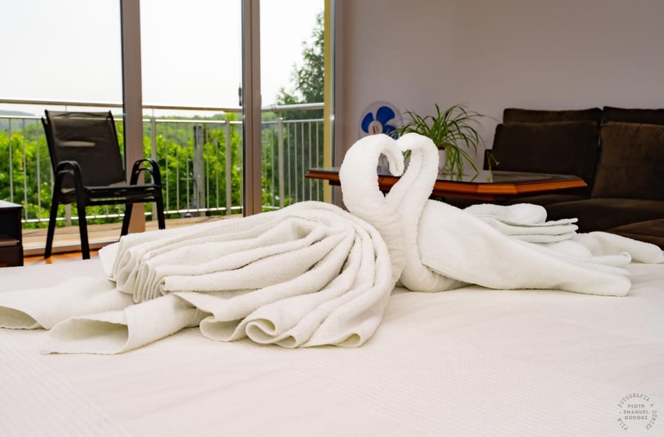 Bed, Balcony/Terrace, Living room, towels