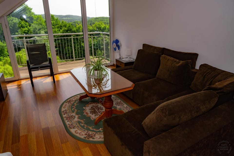 View (from property/room), Balcony/Terrace, Living room