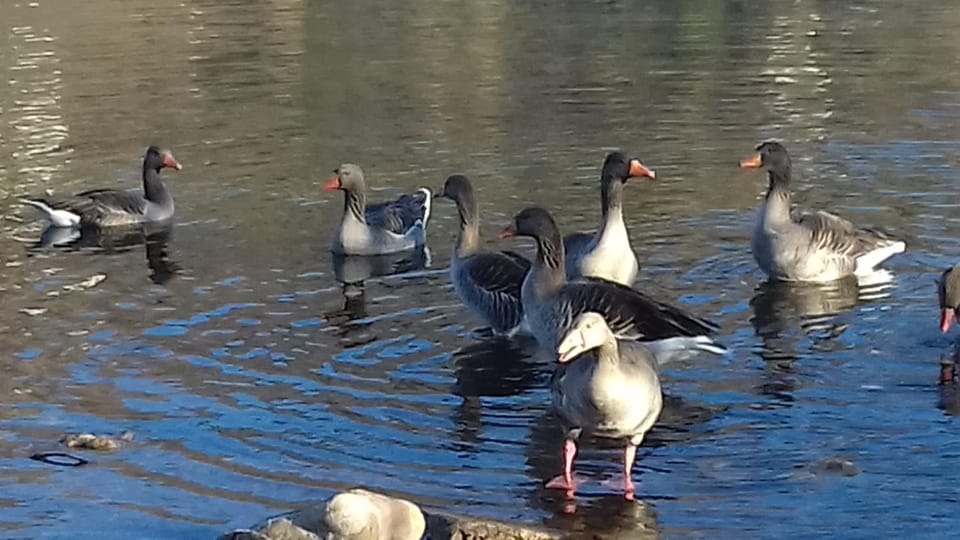 CA' La Bottega Bed and Breakfast in Trentino-South Tyrol