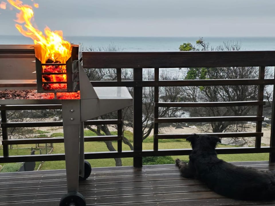 Shells on the Beach Vacation rental in Port Elizabeth