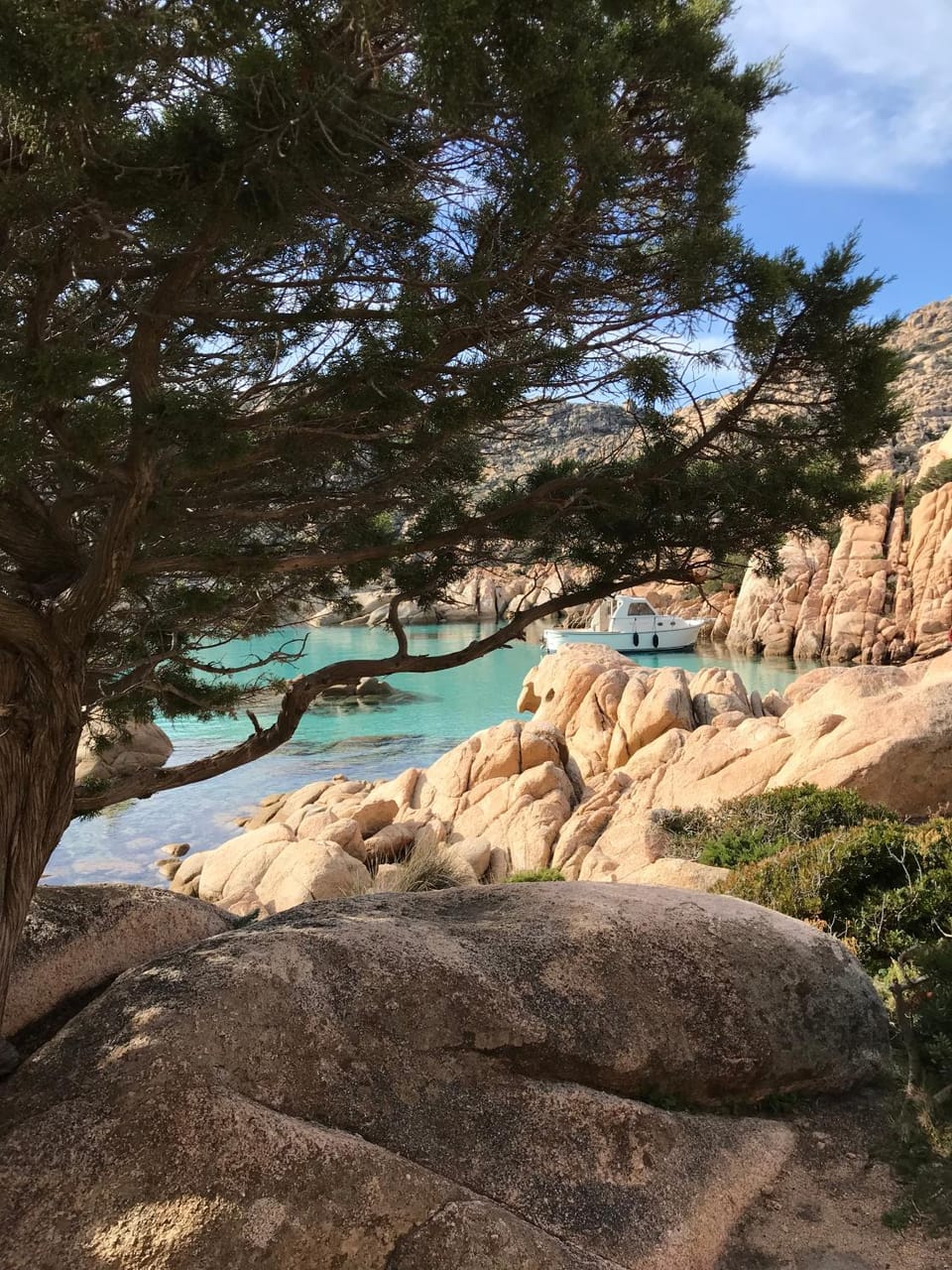 Natural landscape