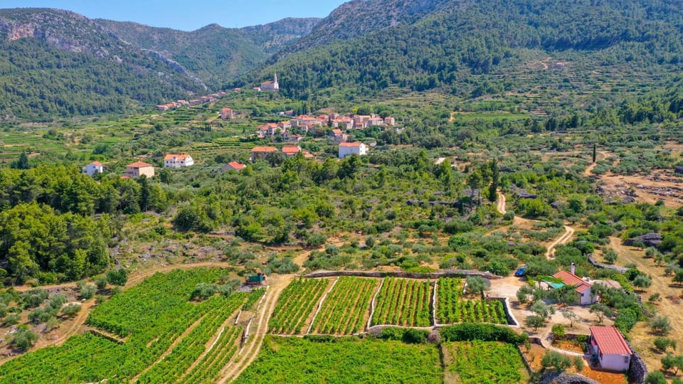 Vineyard Paradise House Pitve Villa in Dubrovnik-Neretva County