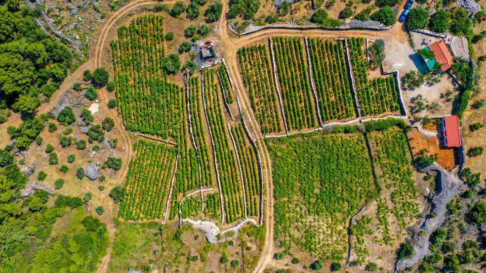 Vineyard Paradise House Pitve Villa in Dubrovnik-Neretva County