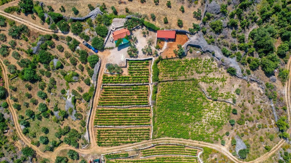 Vineyard Paradise House Pitve Villa in Dubrovnik-Neretva County
