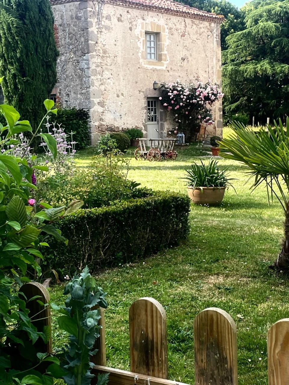 Garden view