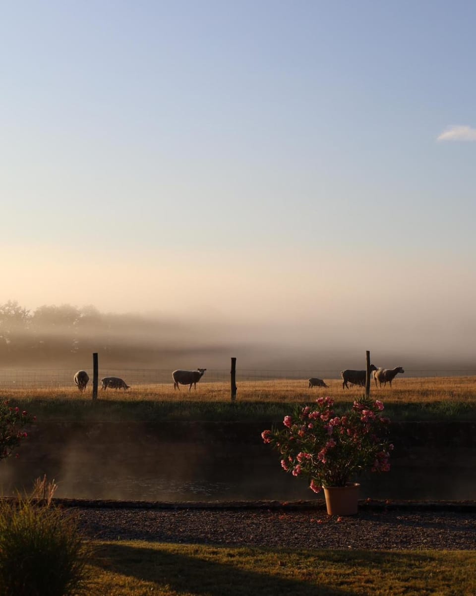Garden view, Sunrise