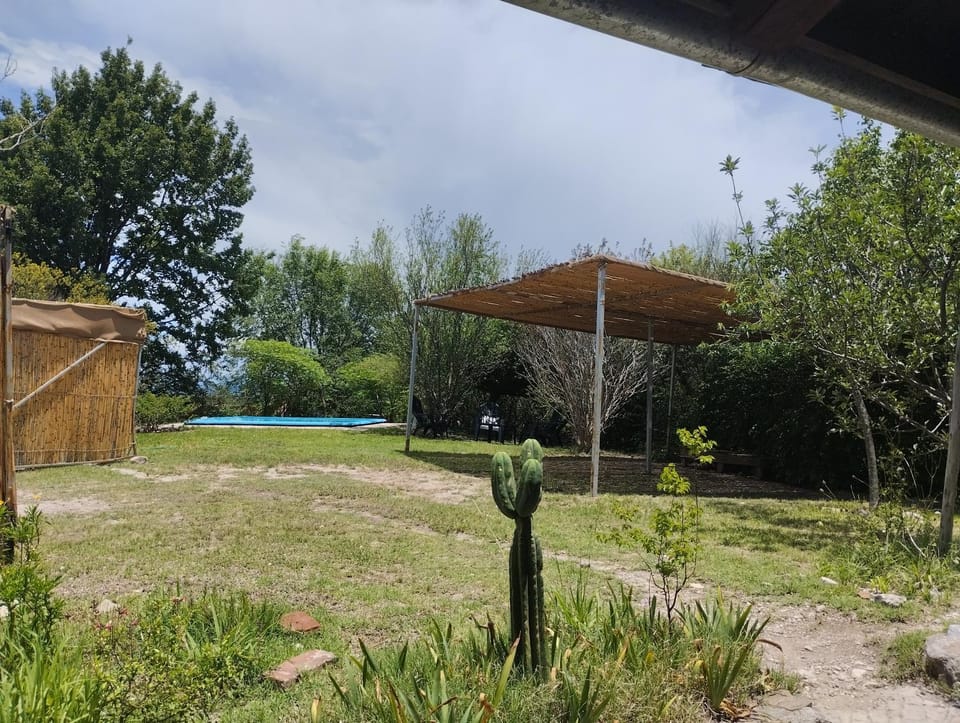 Garden, Swimming pool
