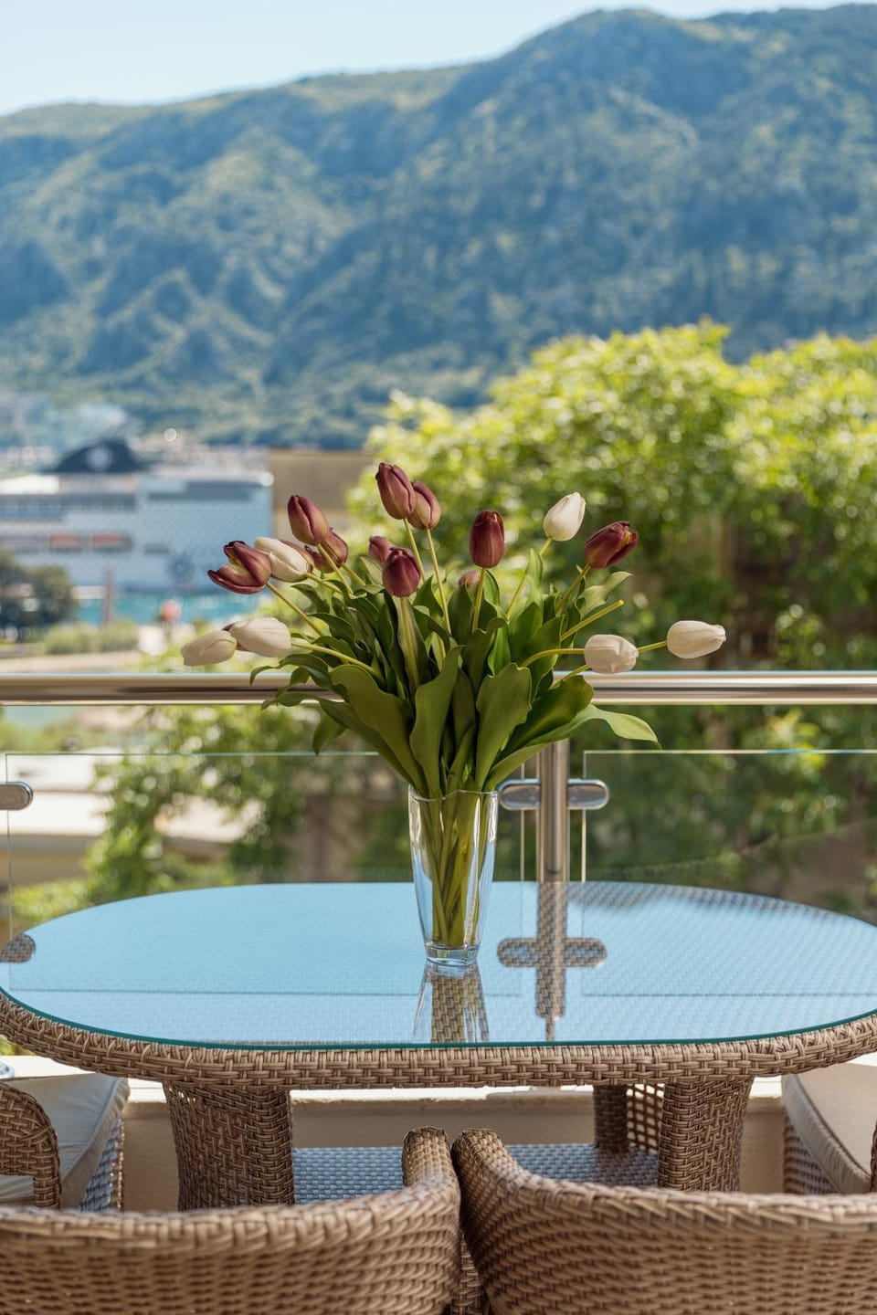 Apartments Los Olivos Apartment in Dobrota