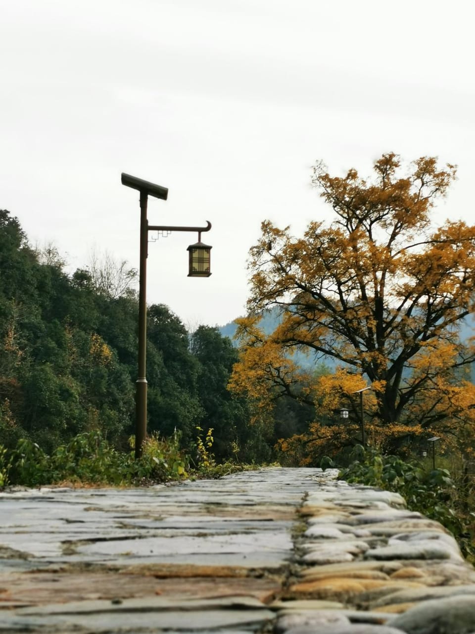Neighbourhood, Natural landscape