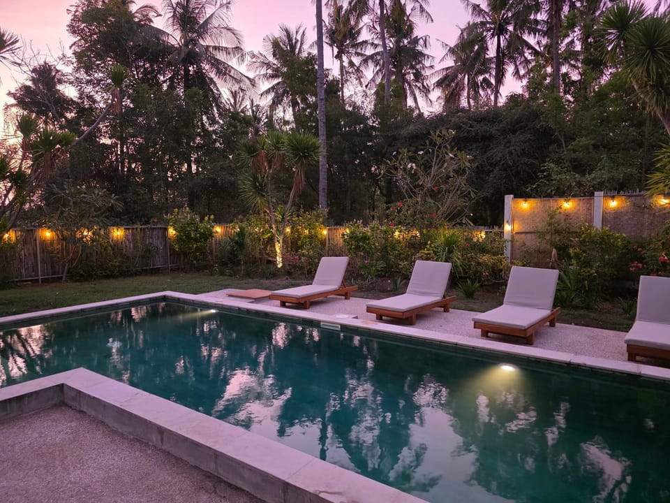 Night, Natural landscape, Garden, Garden view, Pool view, sunbed