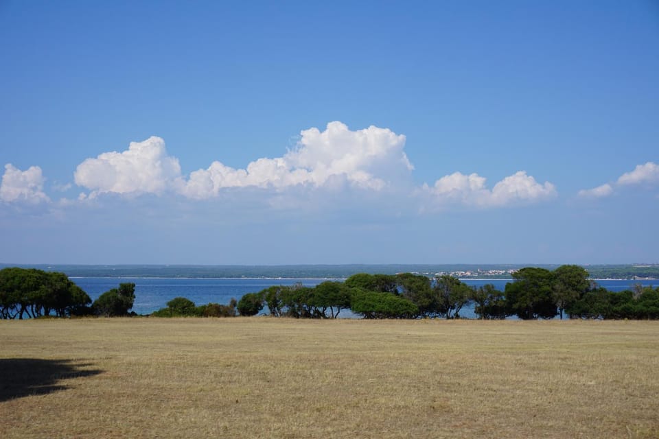 Natural landscape