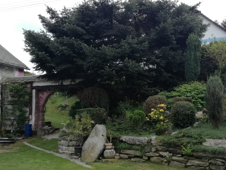 Garden, Other, Garden view