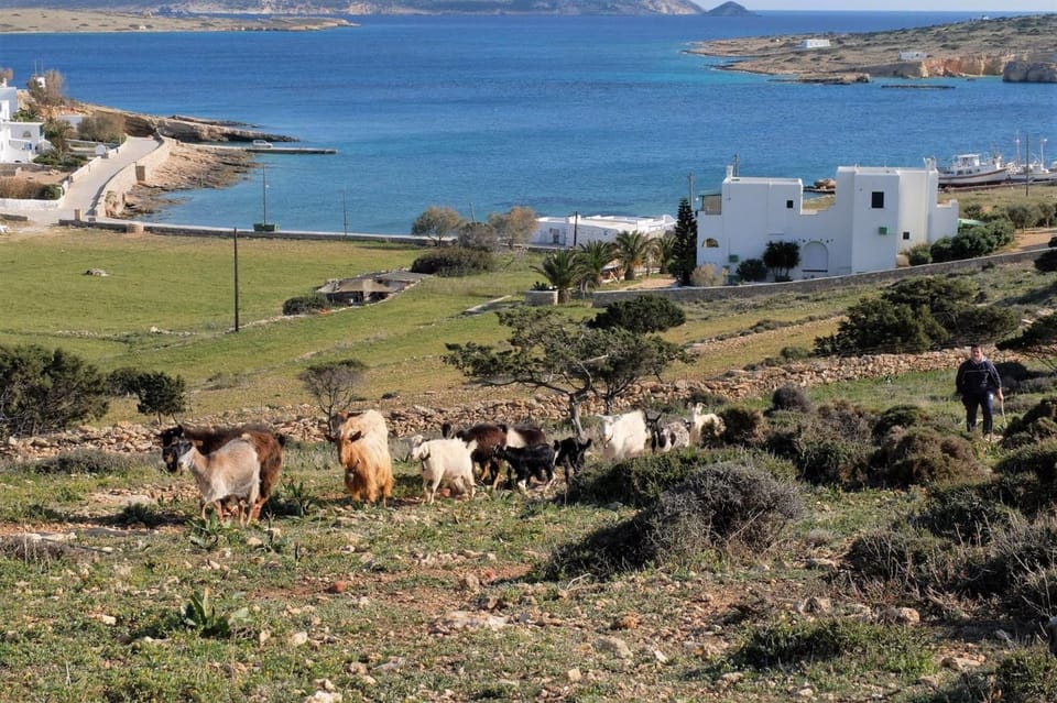 Alkionides Studios Apartment hotel in Koufonisia