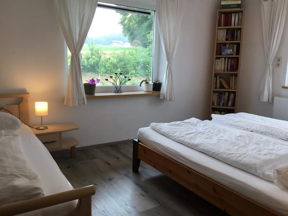 Bed, Library, Photo of the whole room, Bedroom