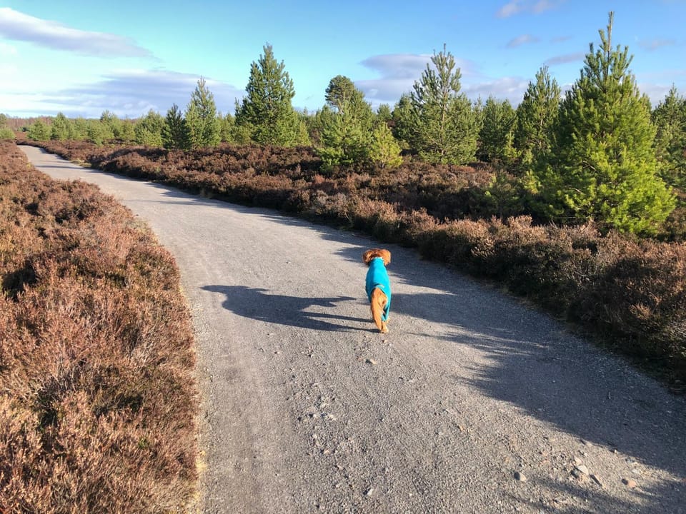 Ventoux House in Aviemore