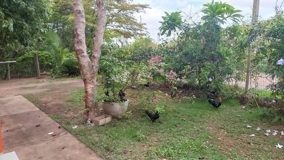 Chácara Pousada Sagui Inn in State of Mato Grosso, Brazil
