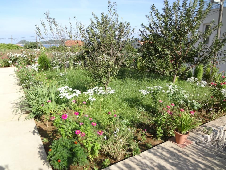 Location, children, Family