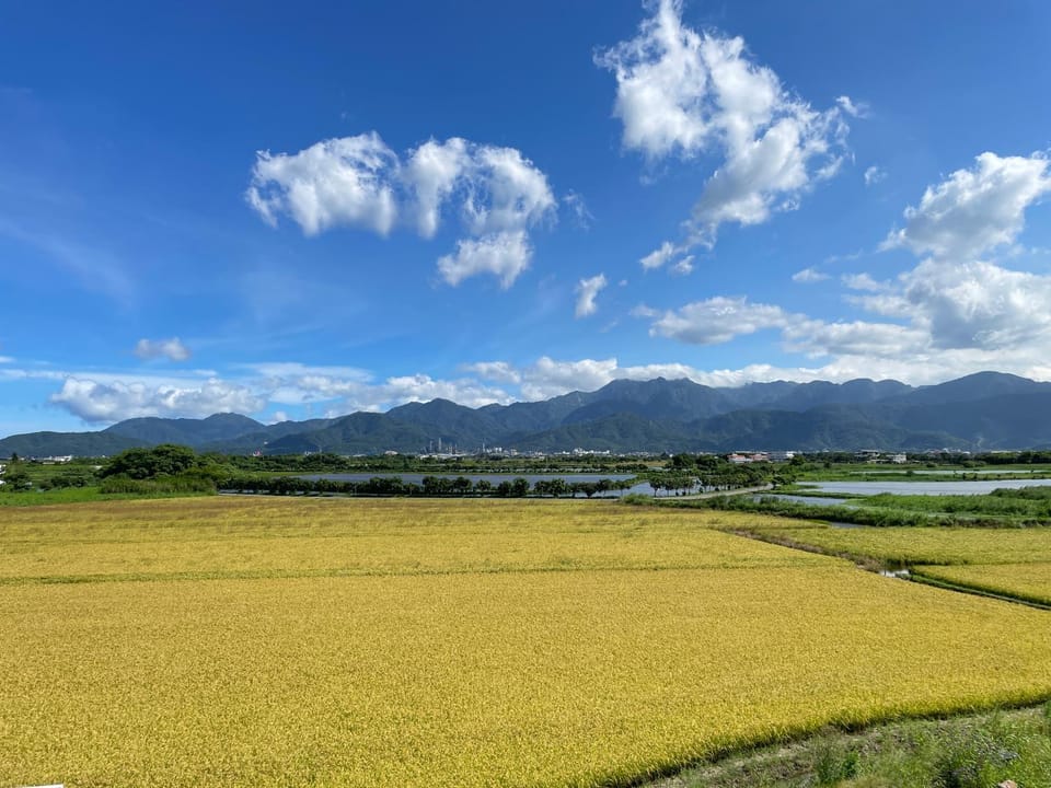 Day, Natural landscape, Summer