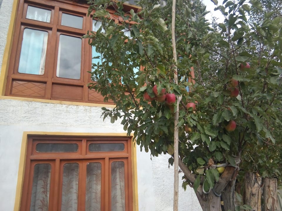 Achina Bed and Breakfast in India