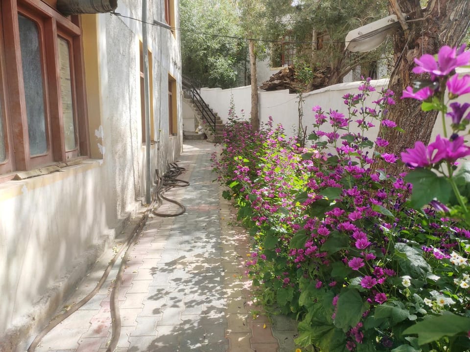 Achina Bed and Breakfast in India