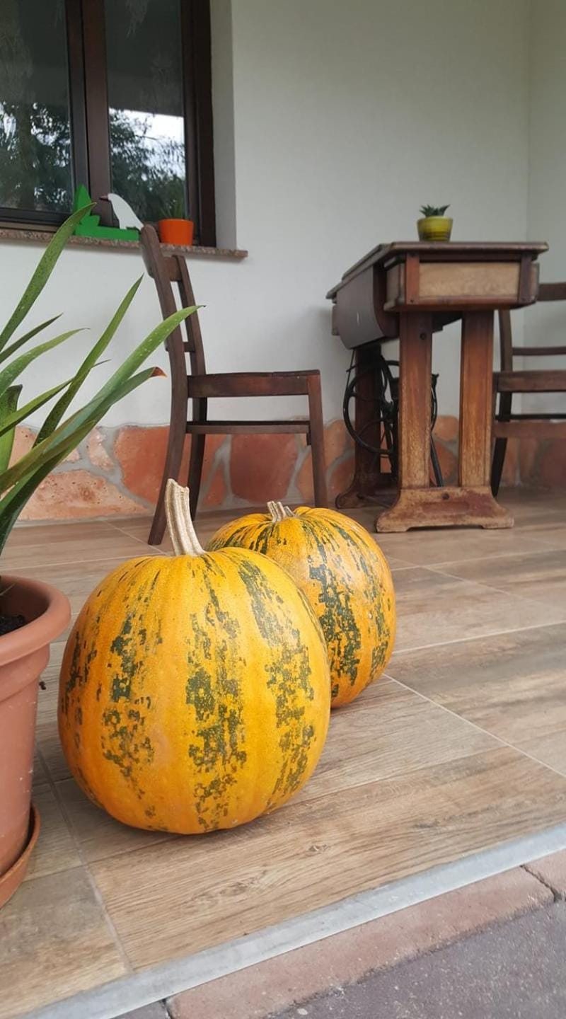 Bajusz Vendégház Bed and Breakfast in Hungary