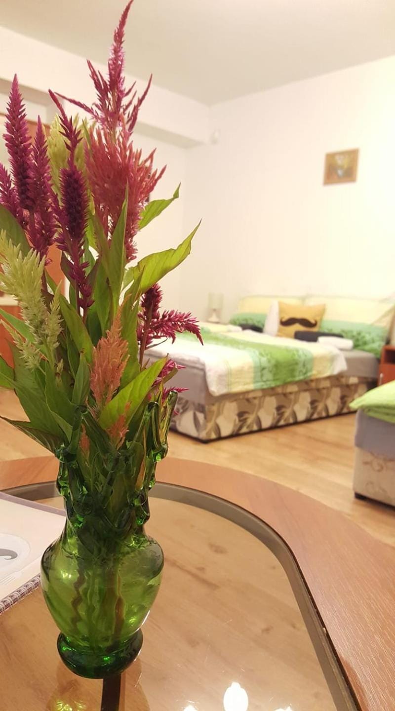 Bajusz Vendégház Bed and Breakfast in Hungary