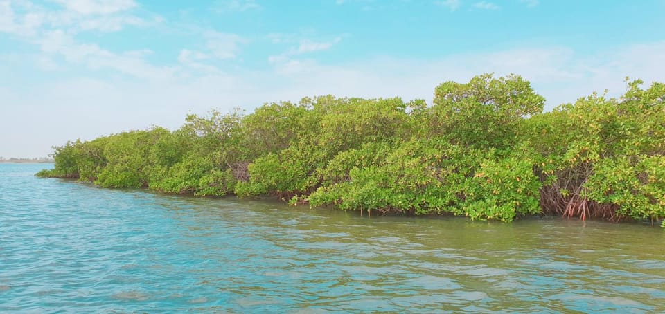 Natural landscape