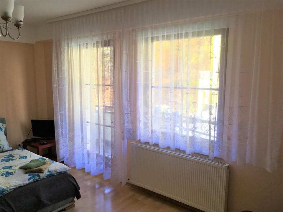Apartmany Jachymov Apartment in Saxony