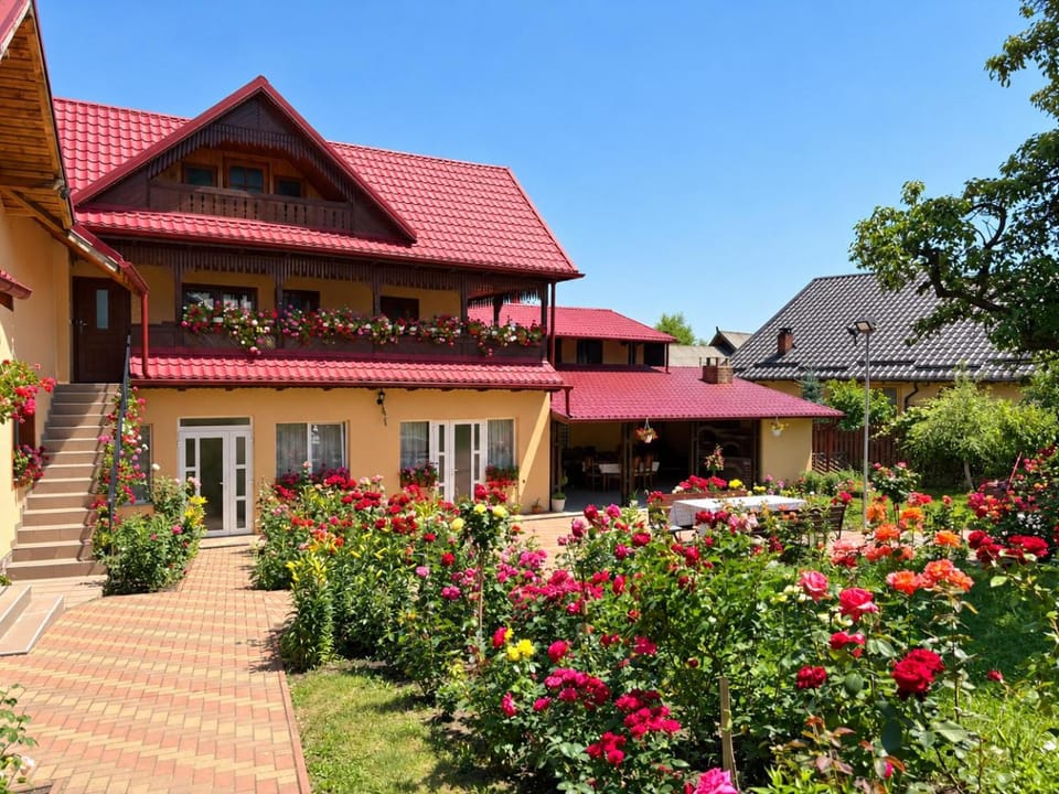 Pensiunea Alina Bed and Breakfast in Romania