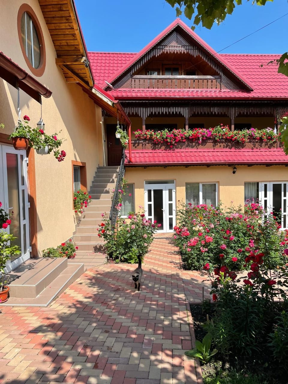 Property building, Day, Garden