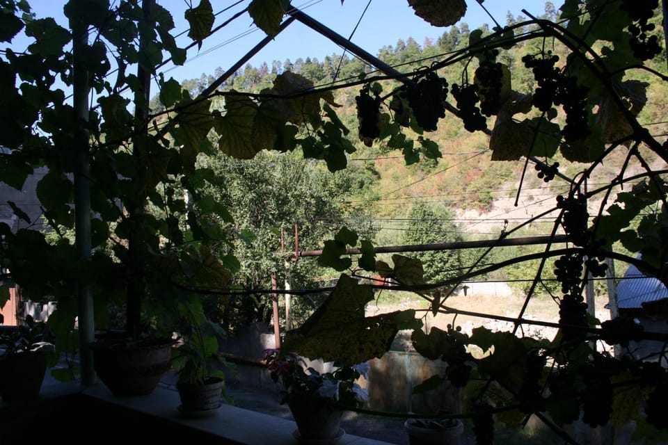 Guest House Nima Bed and Breakfast in Georgia