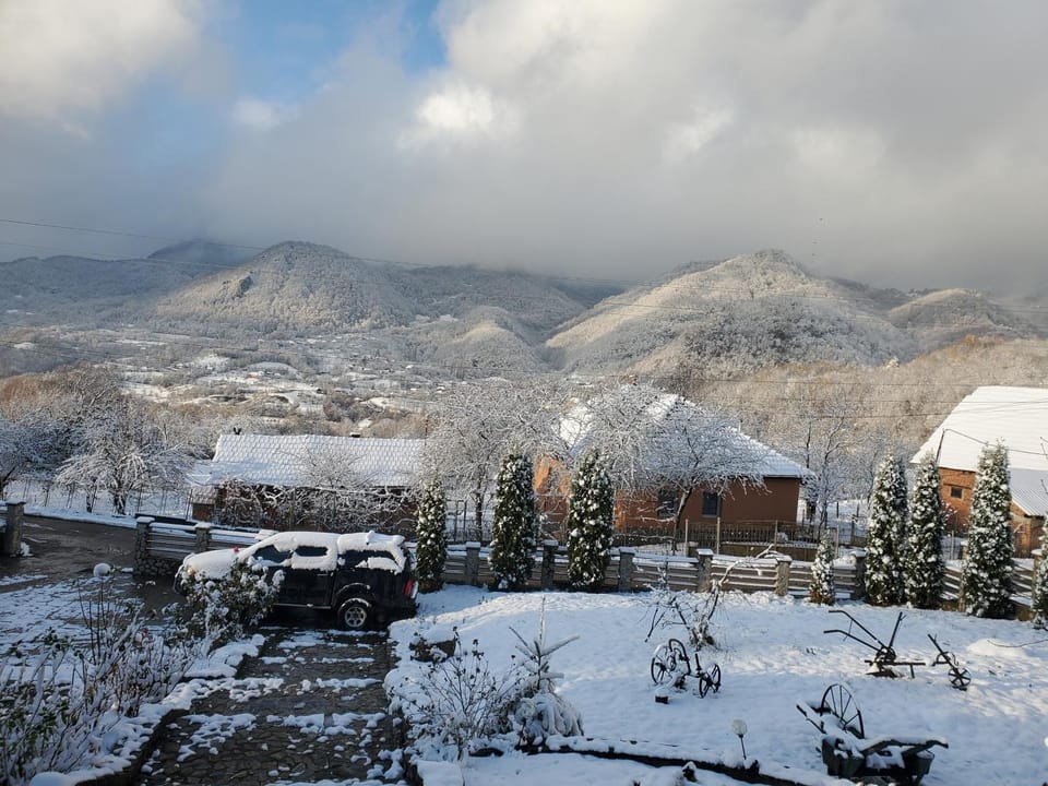 Winter