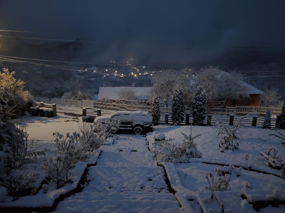 Winter
